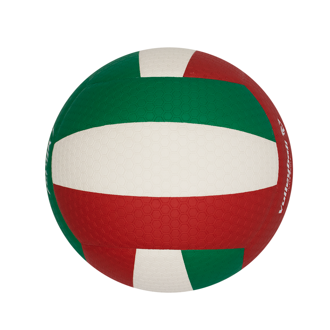 PELOTA DE VÓLEY VOLEO - VL5010 - CUERO SINTÉTICO